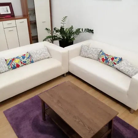 Filinhome Zmaj Jovina *