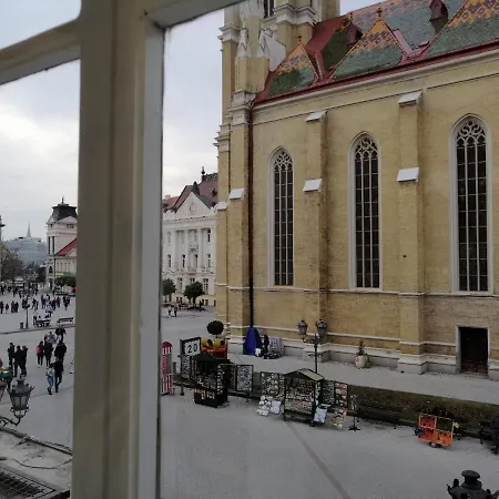 Filinhome Zmaj Jovina Újvidék